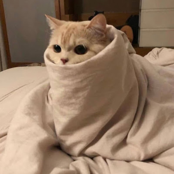 Meet your Posher, Yaya - Picture 1 of 1